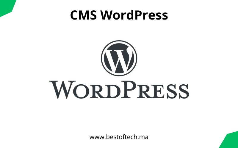 You are currently viewing Choisir WordPress comme CMS